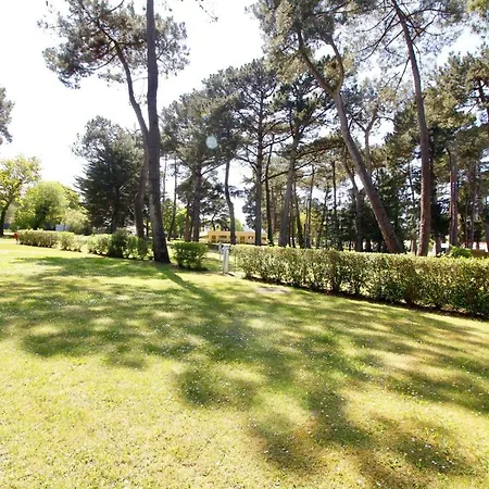 Campeggio Tiny House Et Tentes En Coton Dans La Pinede