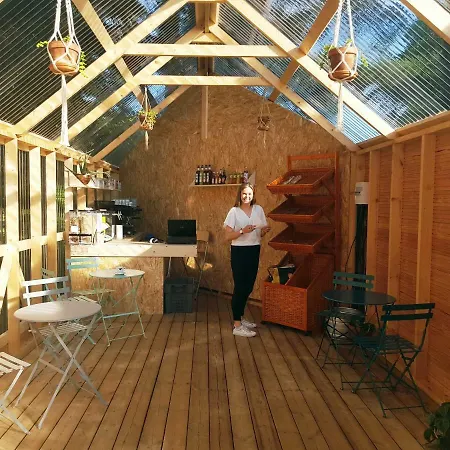 Campingplatz Tiny House Et Tentes En Coton Dans La Pinede